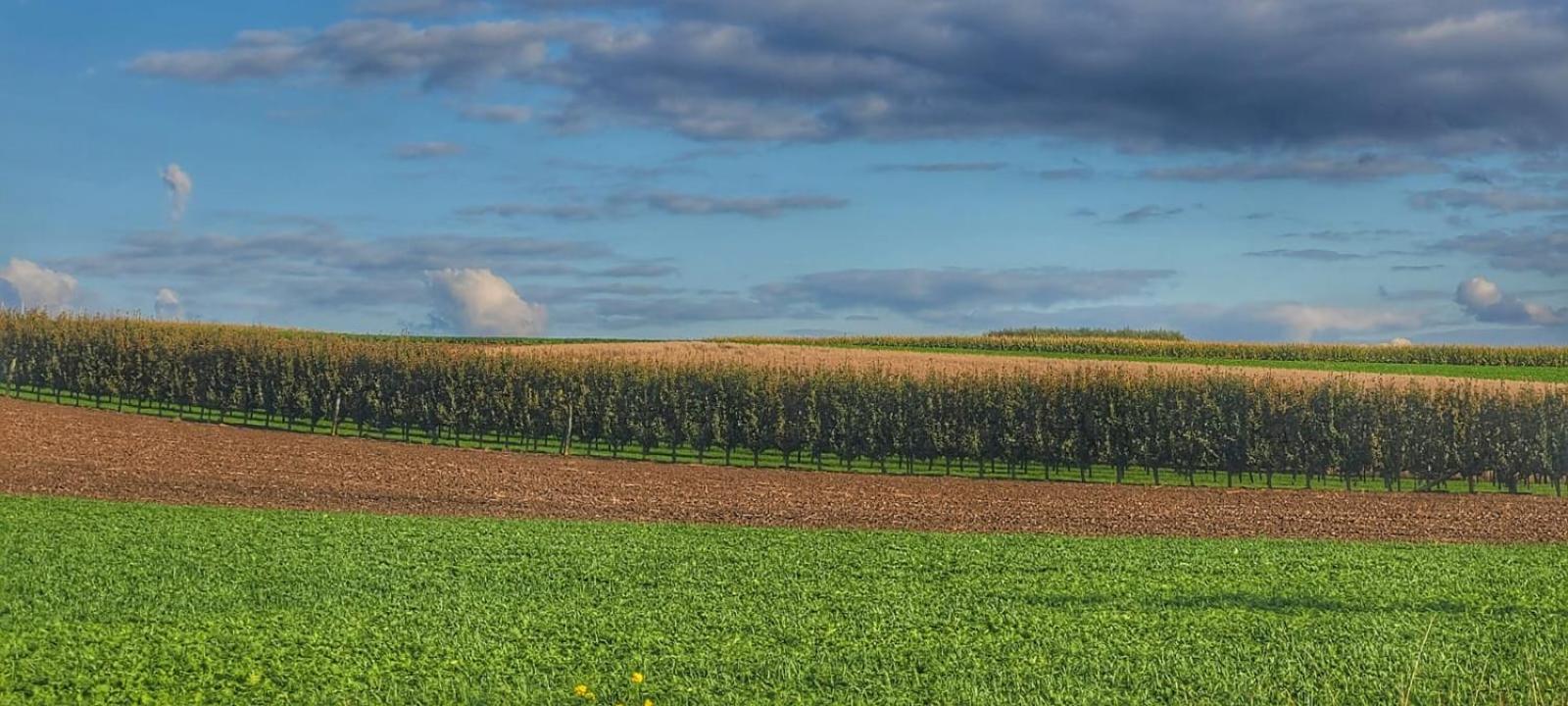 Hoeve Hofgaarde Heers Eksteriør billede